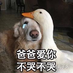  2021怎么解决流量不够用的问题呢