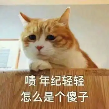 猫咪表情包一直突然失去希望的咸猫