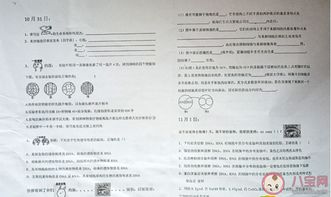  高中现表情包试卷是怎么回事什么是表情包试卷