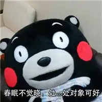  何以解忧唯有抱抱你表情包熊本熊何以解忧唯有抱抱你类表情