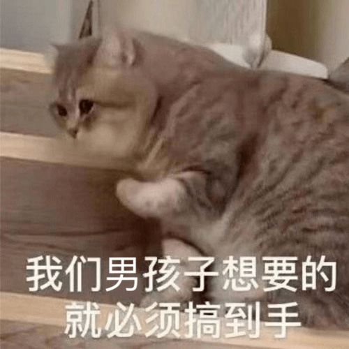  最萌文物出土古人也撸猫
