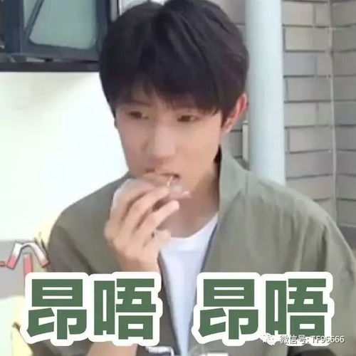 各种网站的表情包王源