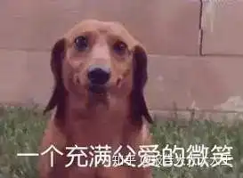 表情包看一个人汪星人