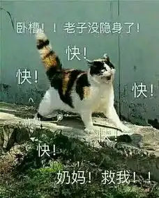  剑网3表情包明教技能表情包分享四