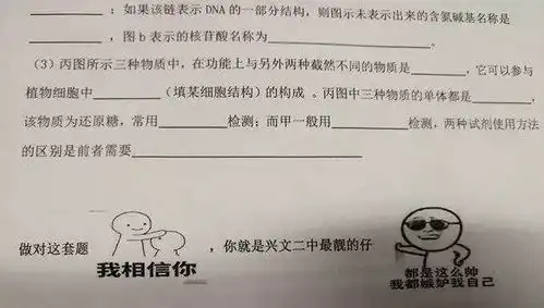  考试专用表情包,斗图高手都跪下