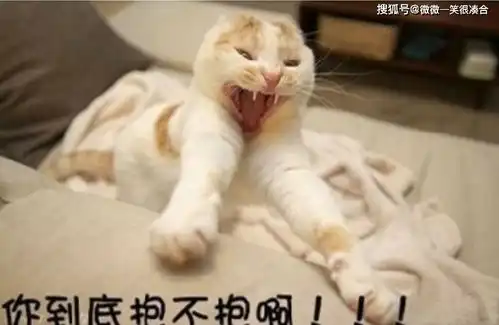  西塞山前白鹭飞,东村河边爬乌龟