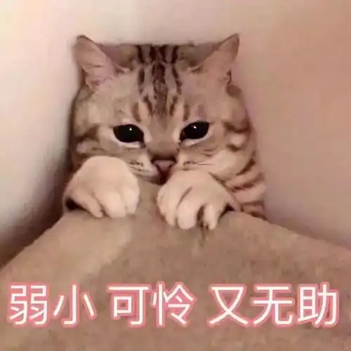  小朋友你多大我20了...女大学生梨花带雨式报警笑死了