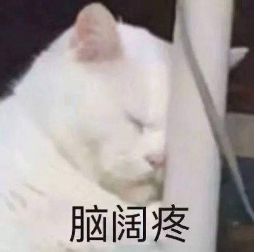  表情包制作丨气死本仙女了