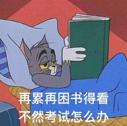  表情包丨借我点钱,我没钱回家过年了