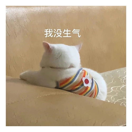  表情包一组有趣的表情包36期