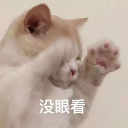  猫爱打呼噜,一定要小心
