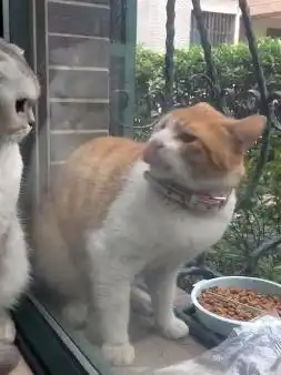  看到女朋友吃很多的表情