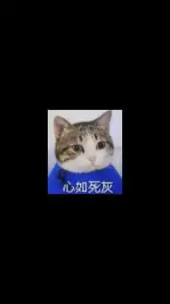  求这只猫叫什么名字网上有很多他的表情包啊