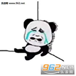  你知道钻木取什么套路图片钻木取什么表情包下载乐游网游戏下载