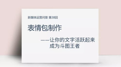 表情包制作让你的文字活跃起来,成为斗图王者新媒体运营第38回