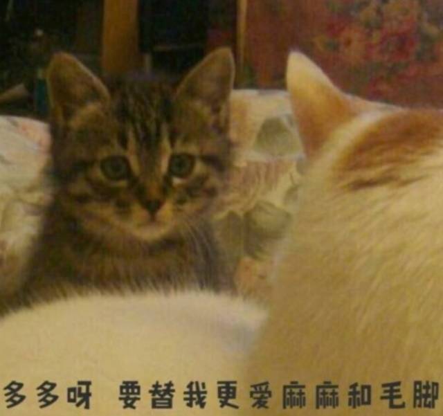  再见