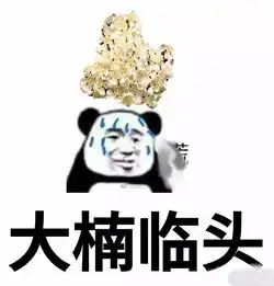  苏州人闻到没令人窒息的石楠花又来了每一口呼吸都直击灵魂