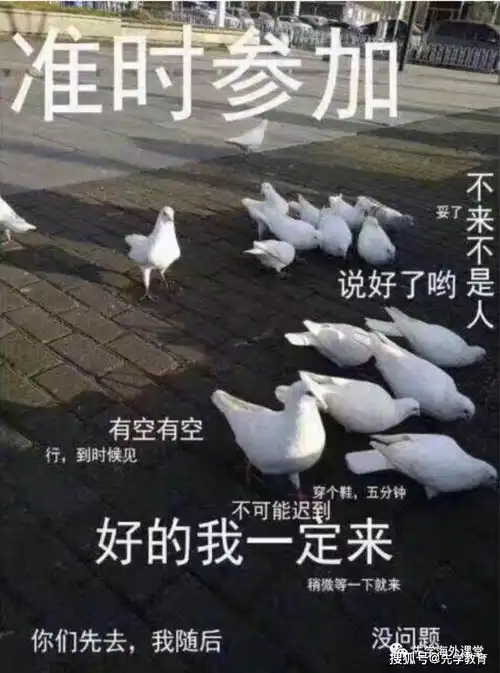  你的多邻国测试为什么不能认证