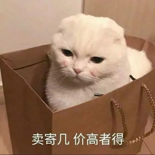  表情包他以前明明很宠我的