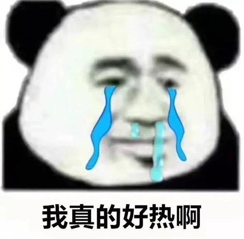  不演小可爱,李兰迪告别旧时光挑战悬疑片伊阿索密码