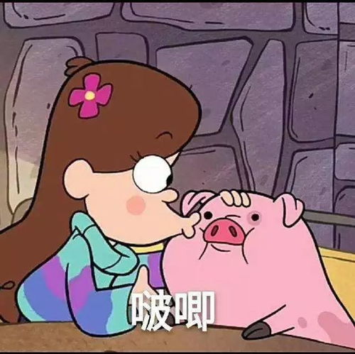  新年第一份香喷喷的猪猪资讯,吸猪这一篇就够了