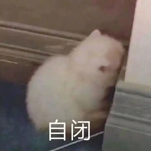  王者荣耀女玩家真的都很菜吗
