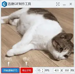  不用ps,3分钟制作100个专属gif表情包,9102年了斗图不能输