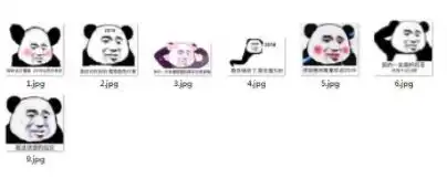  熊猫头2019麻烦对我好一点表情包2019麻烦对我好一点图片无水印版软件下载