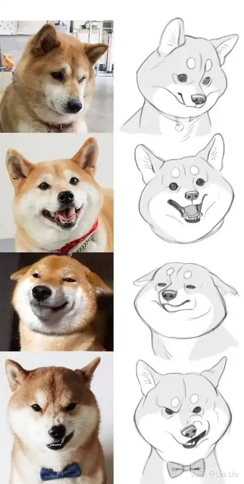  根据照片练习绘画怎么样