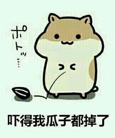真怂表情包瓜子
