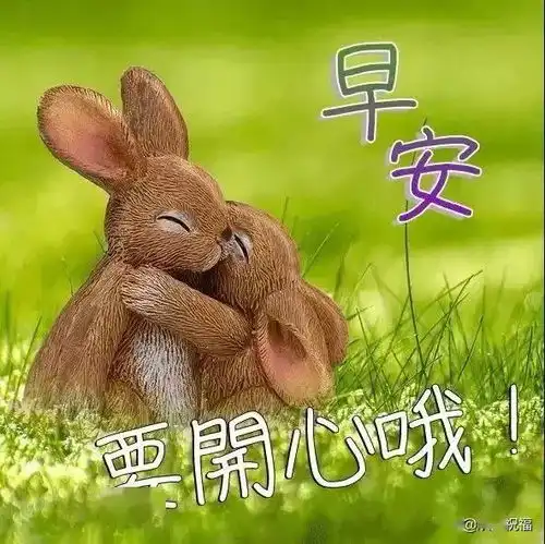  人的一生,不知要做出多少决定,如果瞻前顾后,往往一事无成,早安