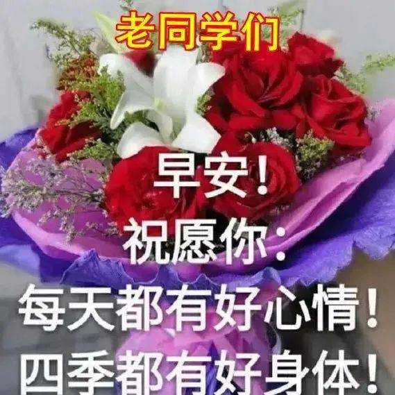  早上好表情图片全集祝老同学永远快乐,一年四季身体健康