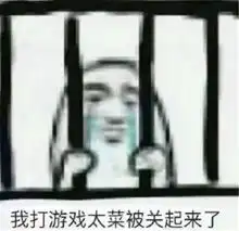  玩游戏表情包一群废物,带不动我
