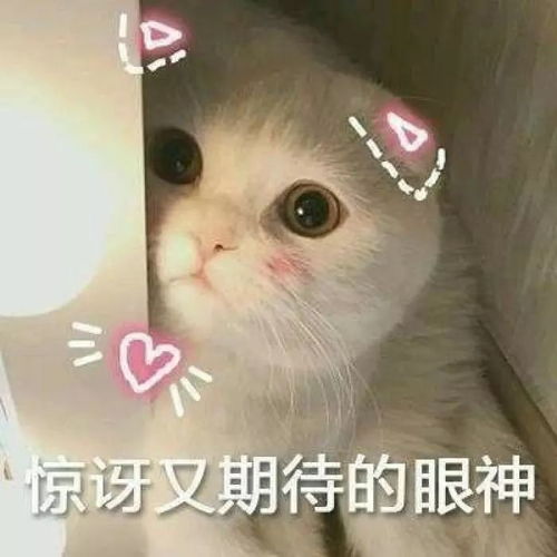 双十一微信表情包宜章县