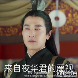  三生三世热播,网友们给姑父赵又廷,姑姑杨幂做了哪些表情包