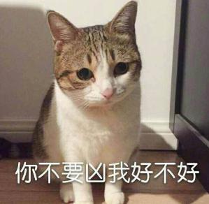  刺激战场新正式服降临网友大呼过瘾除了新地图新武器,还有这些