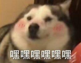 室友的哪些不该看的东西被你看到了
