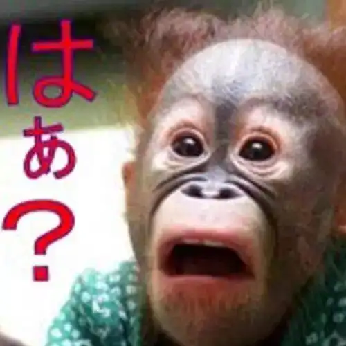 说这些日语会被打说话不可无脑啊  说这些日语会被打说话不可无脑啊