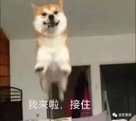  得,好男人又崩了一个