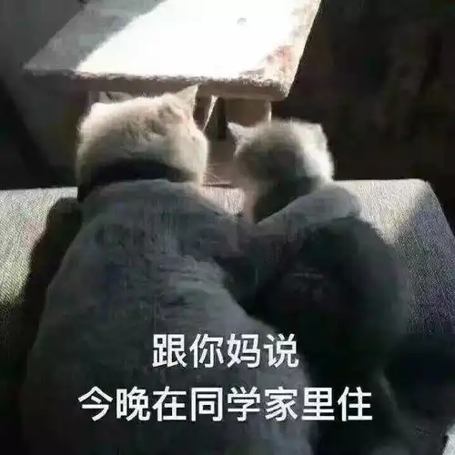  新一代iphonex原型机曝光颜色骚气还有黑科技