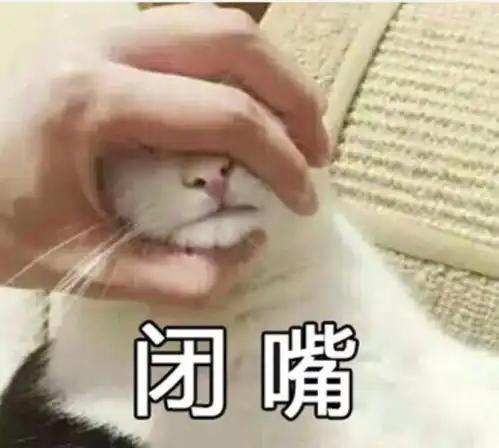  无水印萌宠专用表情包你是要讲理,还是要我