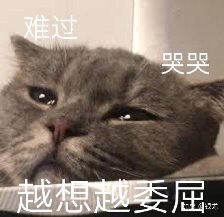  又是想吃后悔药的一天