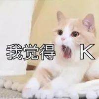  宠物营养品的一哥,做的猫粮能打吗