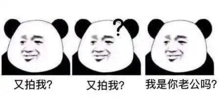 加微信的表情包拍一拍