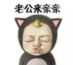 你还不如一只狐狸会撩妹兔... 你还不如一只狐狸会撩妹兔...