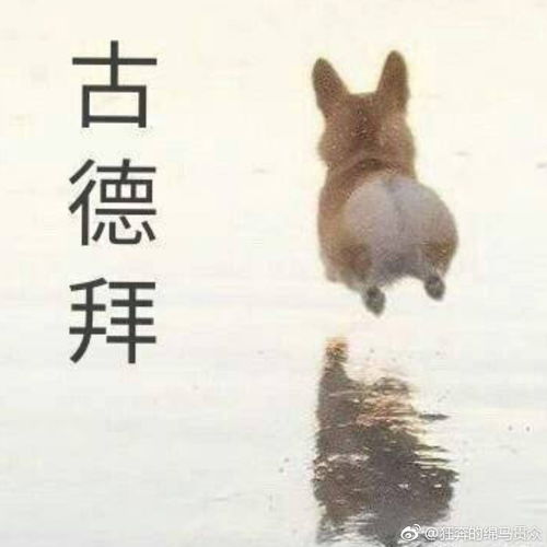  请问大噶那个打野最好上手鸭
