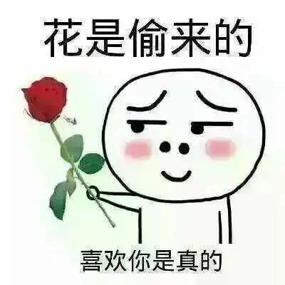  黑小马评析厂家自送有得救京东duang延长续签日期是在说明什么