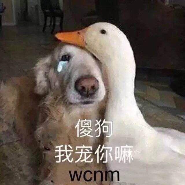  拥有一个稀有姓氏是种什么体验哈哈哈哈哈我tm头笑飞了