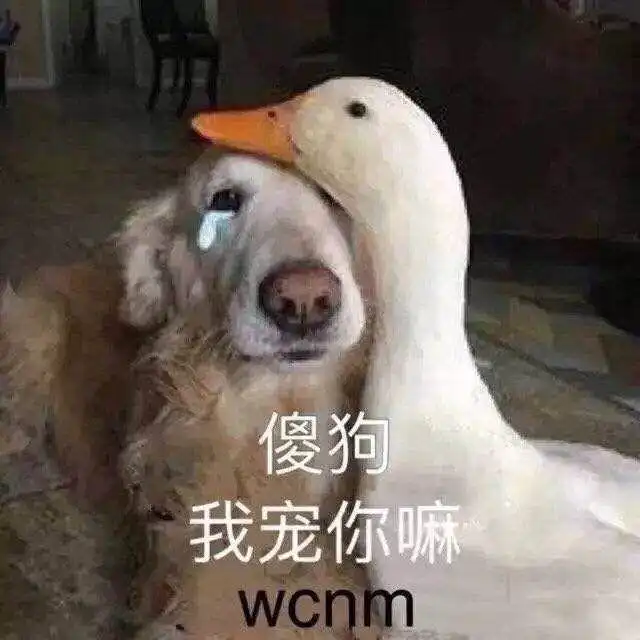  拥有一个稀有姓氏是种什么体验哈哈哈哈哈我tm头笑飞了