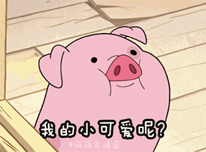  可爱的动态表情包
